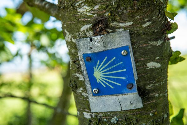 Auvergne-Rhone-Alpes - Haute-Loire - Le chemin de Composte...ns le Forez, la chapelle de Vidrieux pres de Montbrison (2)