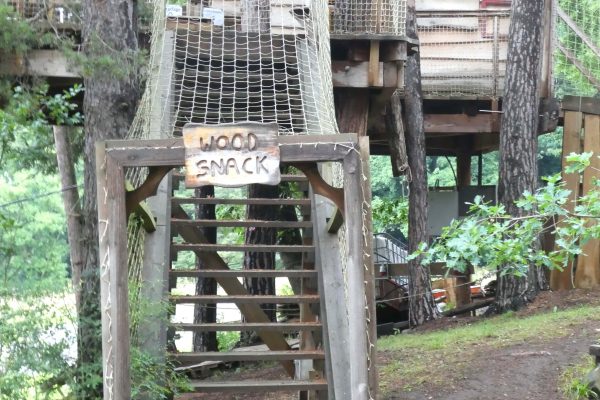 parc aventure haute loire canopy en foret saint paulien (6)-min