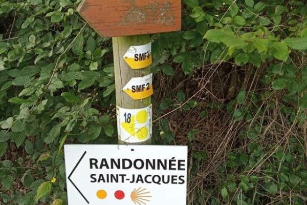 Été du Saint Jacques Saint Galmier 230721 (8)