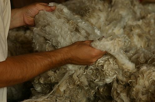 Ferme Lou Pagora Mohair du Velay Tiranges (10)