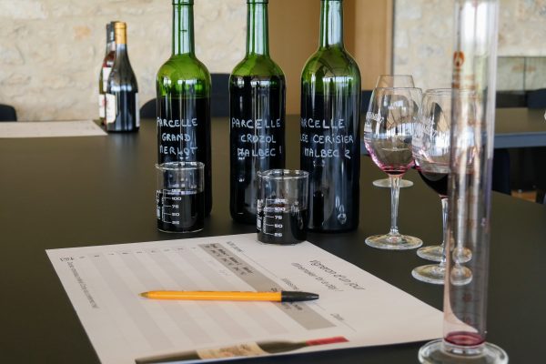 Atelier _vigneron d_un jour_ au Château de Chambert Lot Tourisme - C. Seguy 190705-123256-min