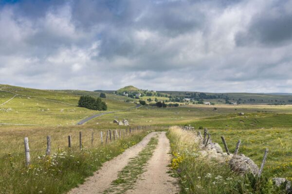 Occitanie - Lozère - Le chemin de Compostelle sur l_Aubrac, près de Nasbinals-69